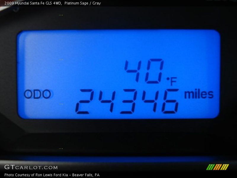 Platinum Sage / Gray 2009 Hyundai Santa Fe GLS 4WD