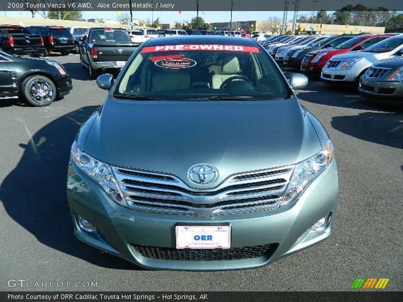 Aloe Green Metallic / Ivory 2009 Toyota Venza V6 AWD