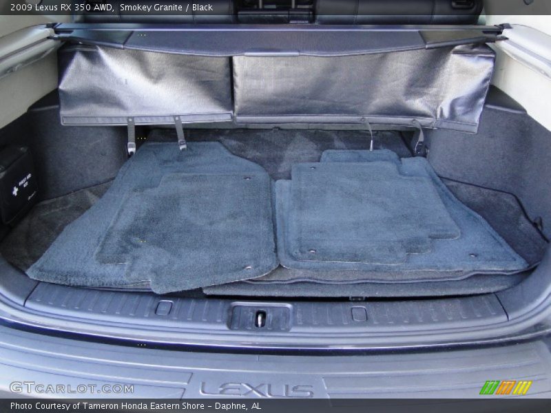 Smokey Granite / Black 2009 Lexus RX 350 AWD
