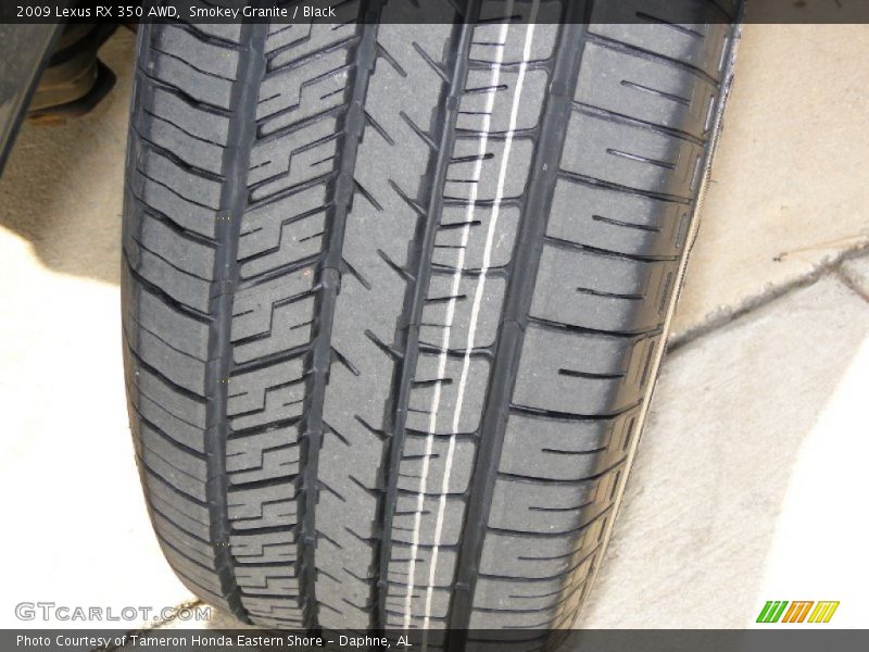 Smokey Granite / Black 2009 Lexus RX 350 AWD