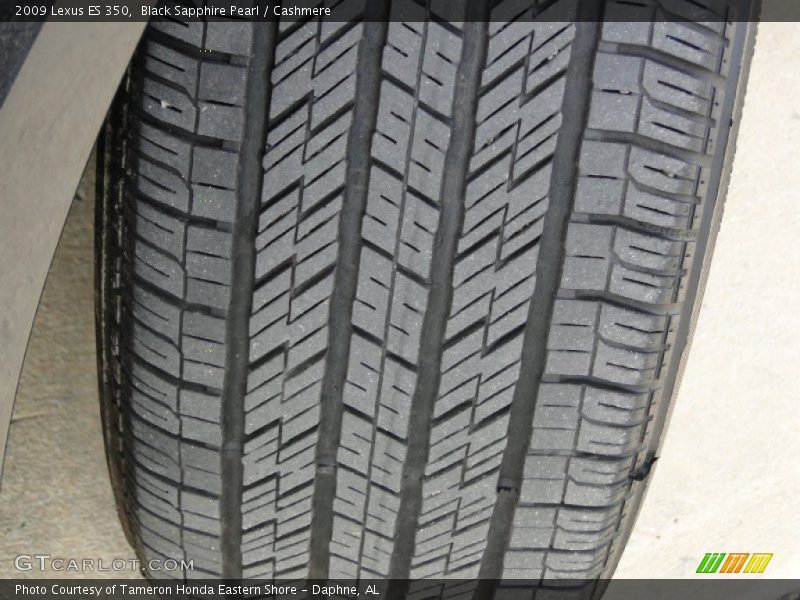 Black Sapphire Pearl / Cashmere 2009 Lexus ES 350