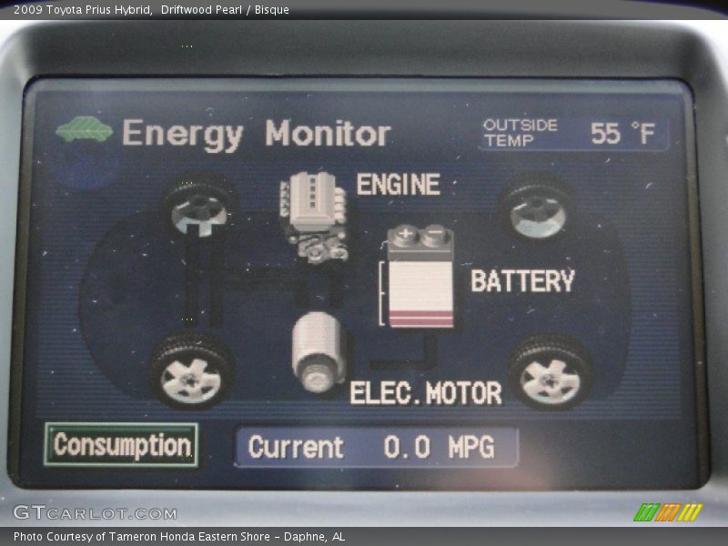 Driftwood Pearl / Bisque 2009 Toyota Prius Hybrid