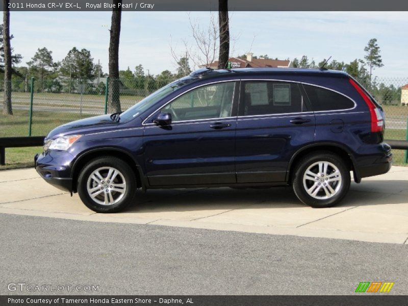 Royal Blue Pearl / Gray 2011 Honda CR-V EX-L