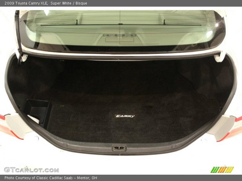 Super White / Bisque 2009 Toyota Camry XLE