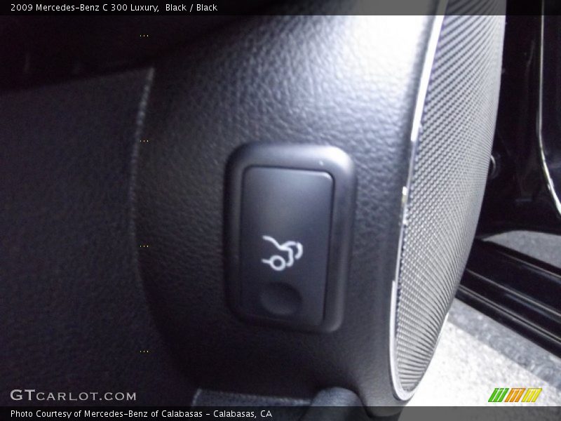 Black / Black 2009 Mercedes-Benz C 300 Luxury