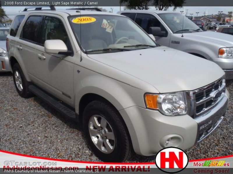 Light Sage Metallic / Camel 2008 Ford Escape Limited