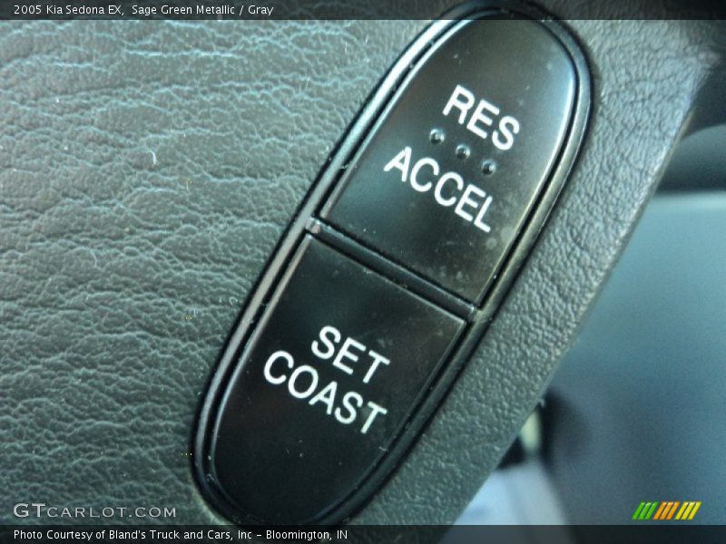 Sage Green Metallic / Gray 2005 Kia Sedona EX