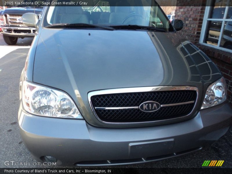 Sage Green Metallic / Gray 2005 Kia Sedona EX