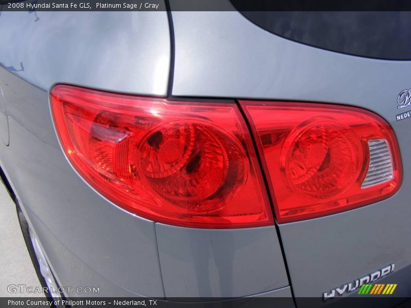 Platinum Sage / Gray 2008 Hyundai Santa Fe GLS