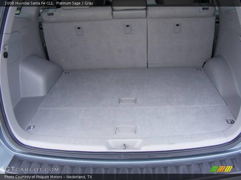 Platinum Sage / Gray 2008 Hyundai Santa Fe GLS