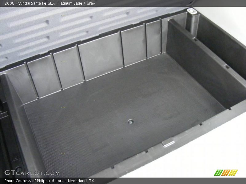 Platinum Sage / Gray 2008 Hyundai Santa Fe GLS
