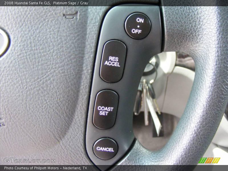 Platinum Sage / Gray 2008 Hyundai Santa Fe GLS