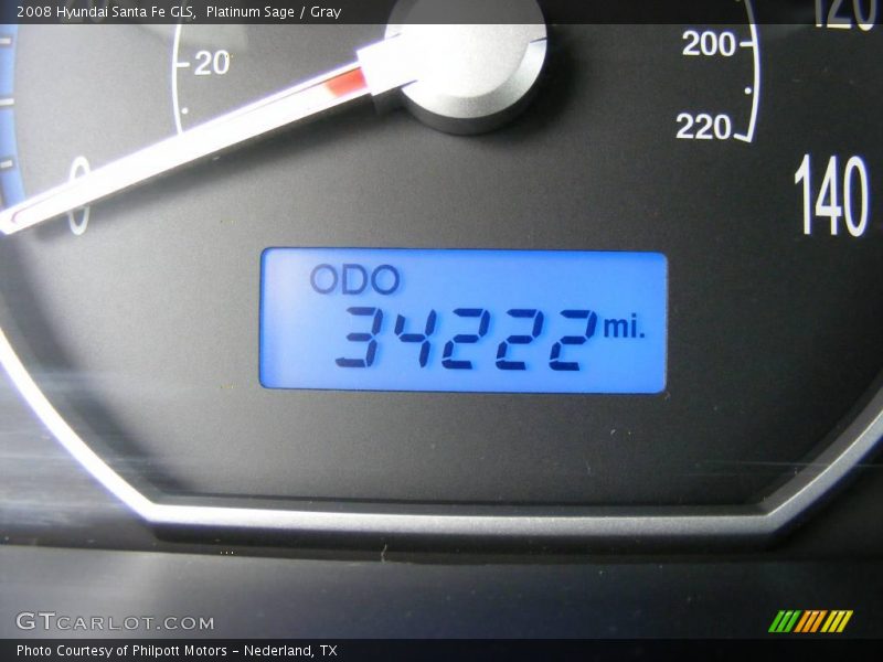 Platinum Sage / Gray 2008 Hyundai Santa Fe GLS