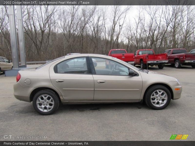 Light Almond Pearl Metallic / Taupe 2002 Dodge Neon SXT
