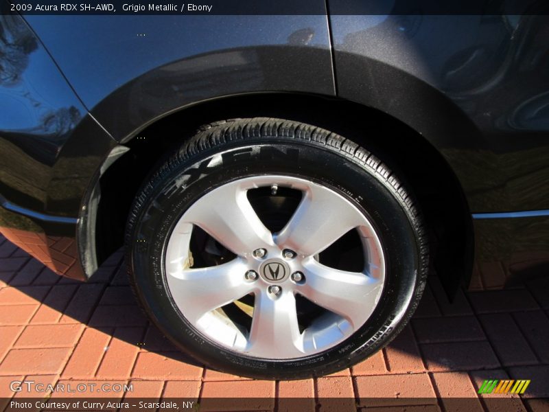 Grigio Metallic / Ebony 2009 Acura RDX SH-AWD