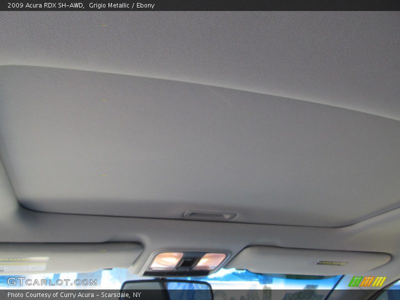 Grigio Metallic / Ebony 2009 Acura RDX SH-AWD