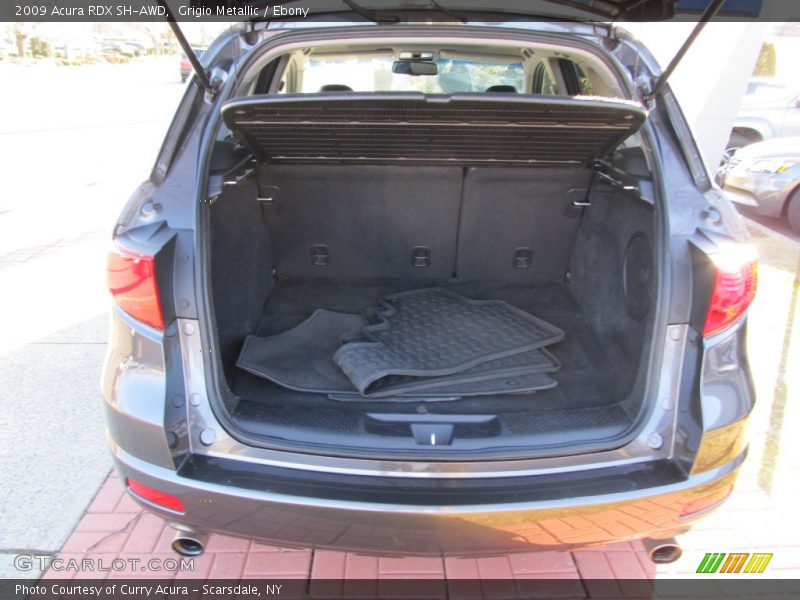 Grigio Metallic / Ebony 2009 Acura RDX SH-AWD