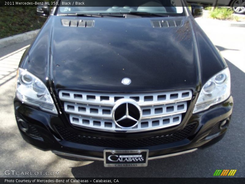 Black / Black 2011 Mercedes-Benz ML 350