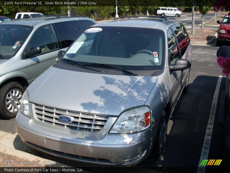 Silver Birch Metallic / Flint Grey 2005 Ford Freestar SE