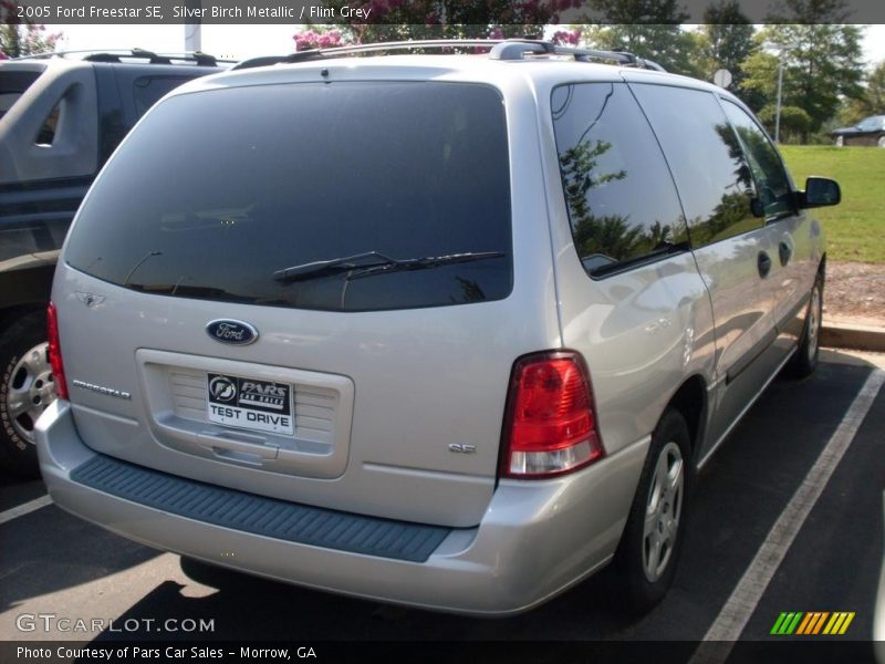 Silver Birch Metallic / Flint Grey 2005 Ford Freestar SE