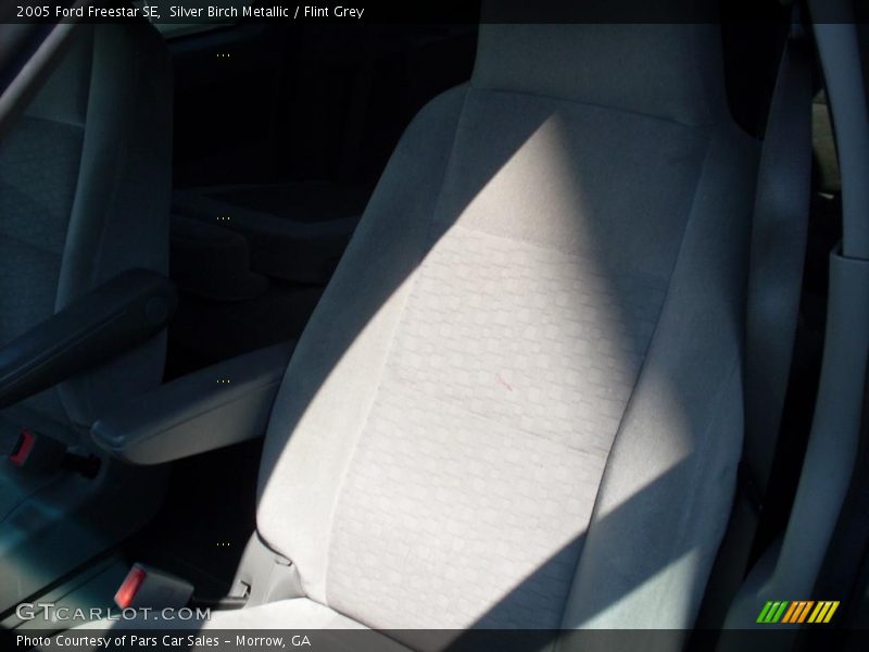 Silver Birch Metallic / Flint Grey 2005 Ford Freestar SE