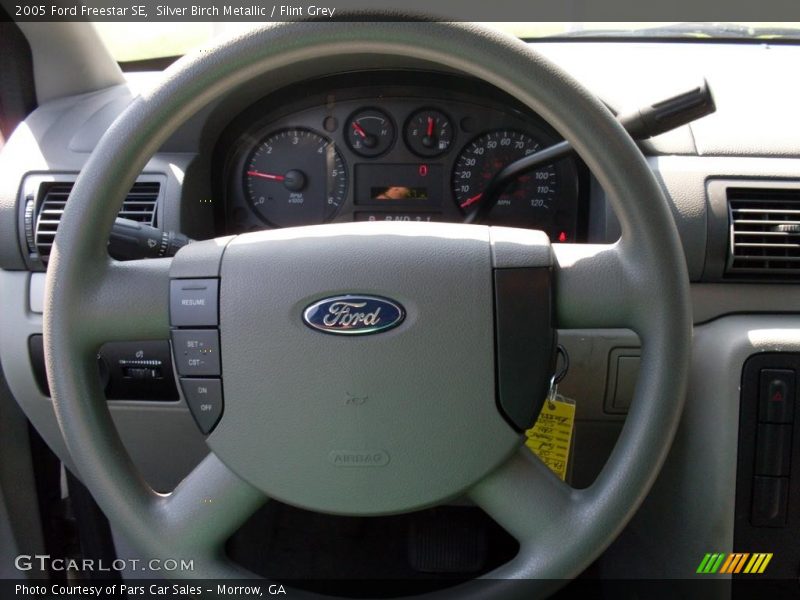 Silver Birch Metallic / Flint Grey 2005 Ford Freestar SE
