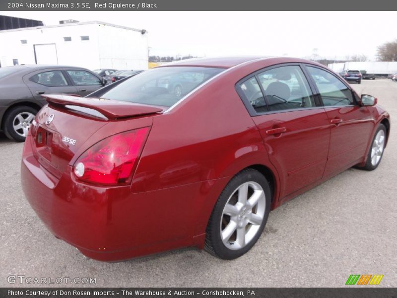 Red Opulence / Black 2004 Nissan Maxima 3.5 SE