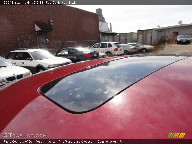 Red Opulence / Black 2004 Nissan Maxima 3.5 SE