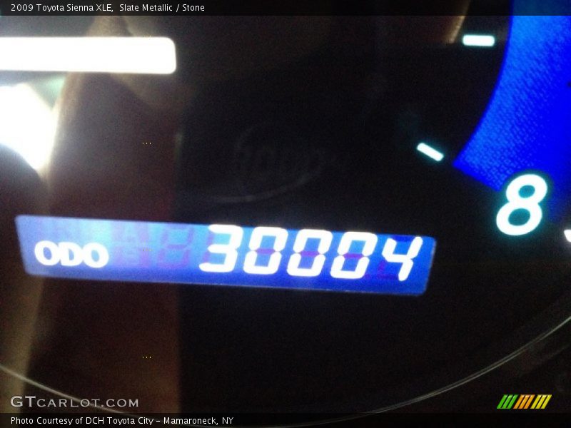 Slate Metallic / Stone 2009 Toyota Sienna XLE