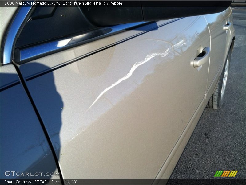 Light French Silk Metallic / Pebble 2006 Mercury Montego Luxury