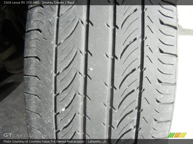 Smokey Granite / Black 2009 Lexus RX 350 AWD