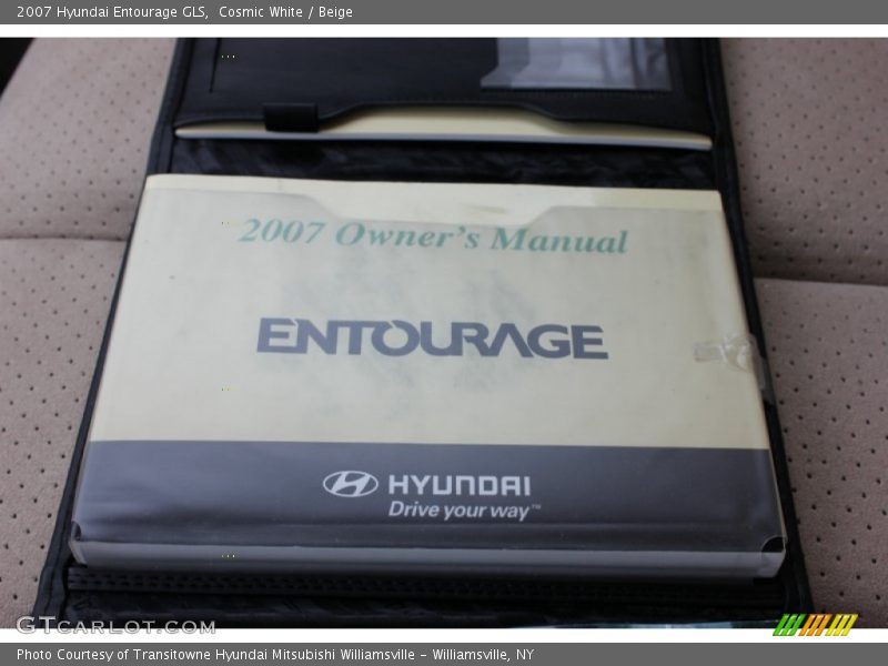 Cosmic White / Beige 2007 Hyundai Entourage GLS