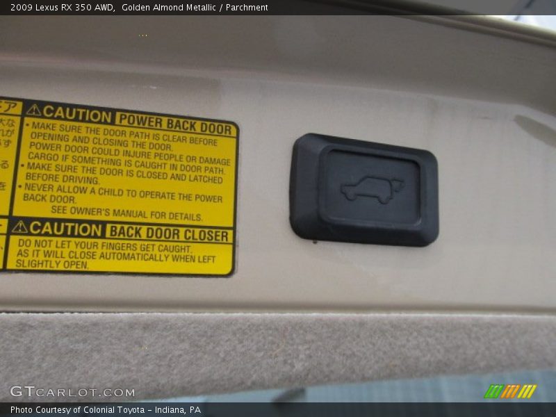 Golden Almond Metallic / Parchment 2009 Lexus RX 350 AWD