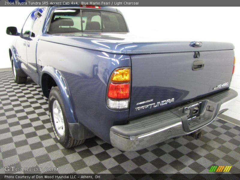 Blue Marlin Pearl / Light Charcoal 2004 Toyota Tundra SR5 Access Cab 4x4