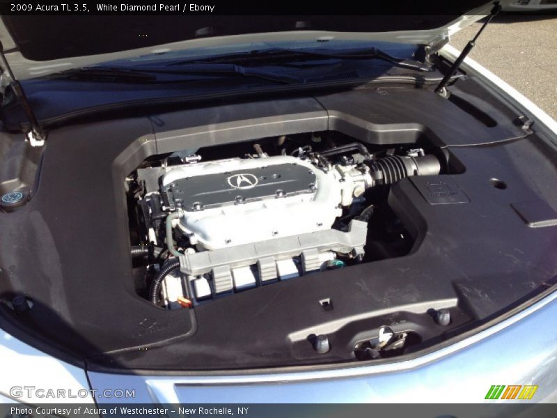 White Diamond Pearl / Ebony 2009 Acura TL 3.5