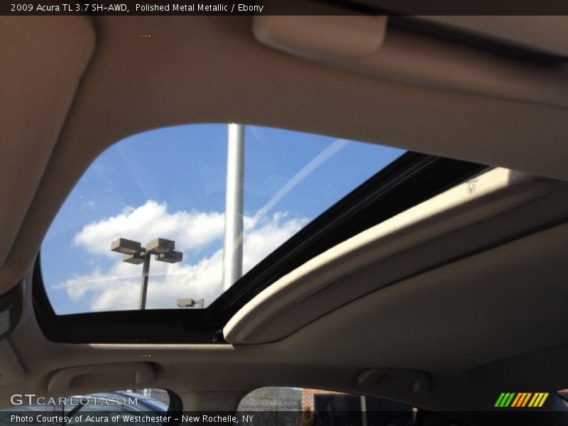 Polished Metal Metallic / Ebony 2009 Acura TL 3.7 SH-AWD