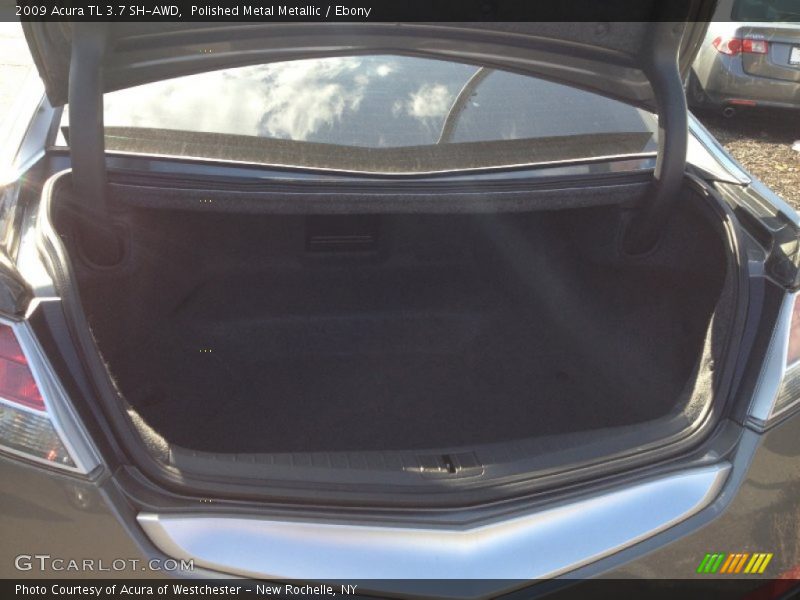 Polished Metal Metallic / Ebony 2009 Acura TL 3.7 SH-AWD