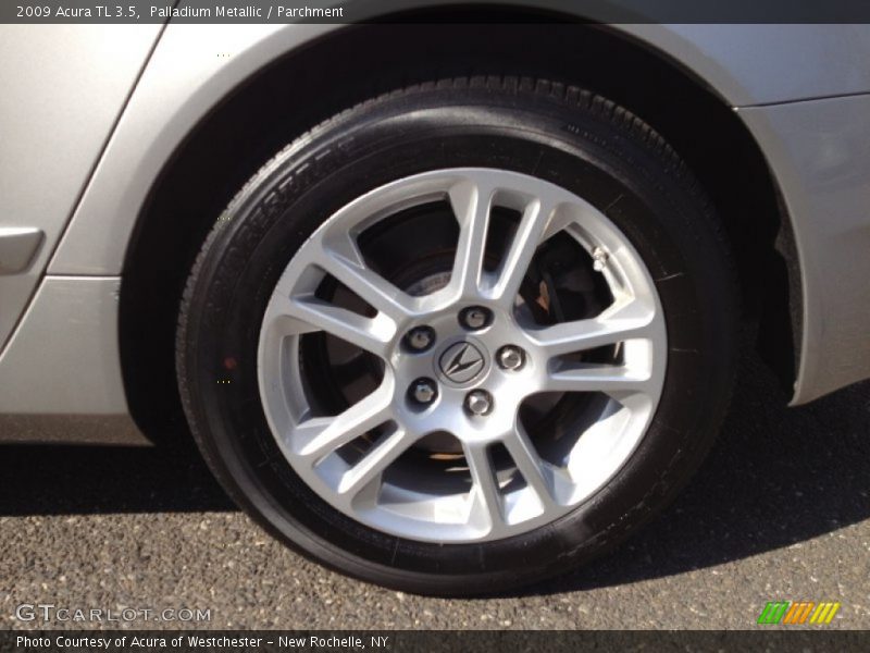 Palladium Metallic / Parchment 2009 Acura TL 3.5