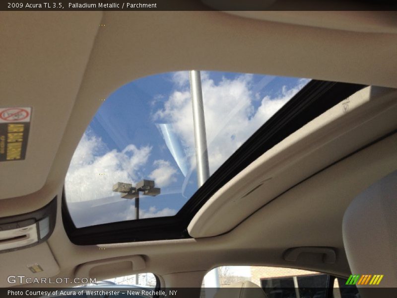 Palladium Metallic / Parchment 2009 Acura TL 3.5