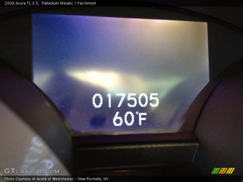 Palladium Metallic / Parchment 2009 Acura TL 3.5