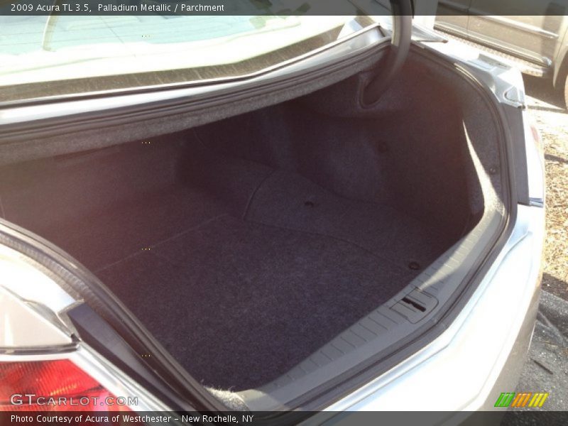 Palladium Metallic / Parchment 2009 Acura TL 3.5