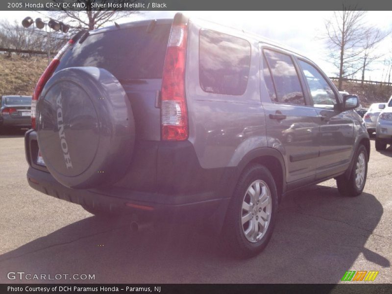 Silver Moss Metallic / Black 2005 Honda CR-V EX 4WD