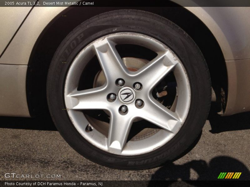 Desert Mist Metallic / Camel 2005 Acura TL 3.2