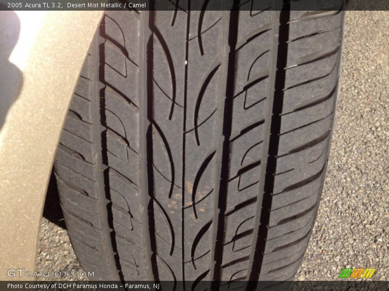 Desert Mist Metallic / Camel 2005 Acura TL 3.2