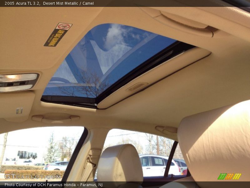 Desert Mist Metallic / Camel 2005 Acura TL 3.2