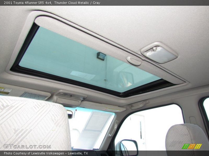 Thunder Cloud Metallic / Gray 2001 Toyota 4Runner SR5 4x4