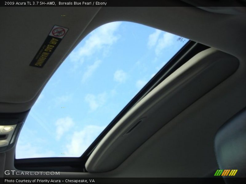 Borealis Blue Pearl / Ebony 2009 Acura TL 3.7 SH-AWD
