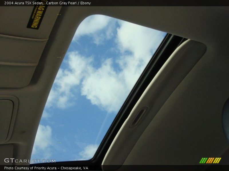 Carbon Gray Pearl / Ebony 2004 Acura TSX Sedan