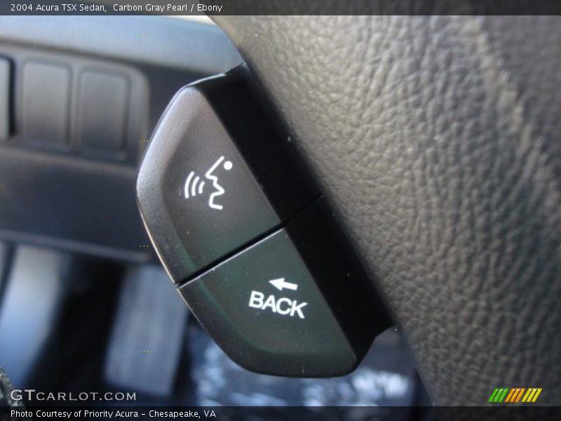 Carbon Gray Pearl / Ebony 2004 Acura TSX Sedan