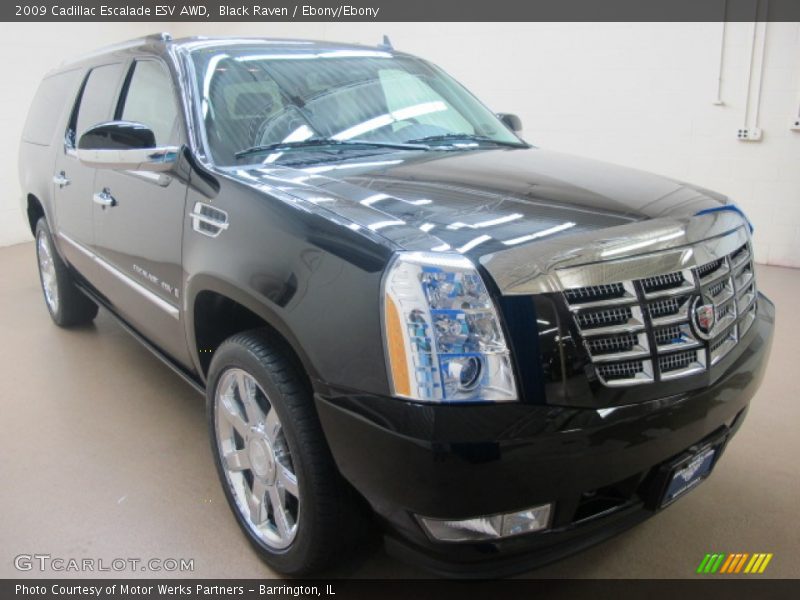 Black Raven / Ebony/Ebony 2009 Cadillac Escalade ESV AWD